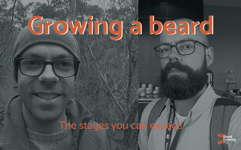Growing a beard stages - header