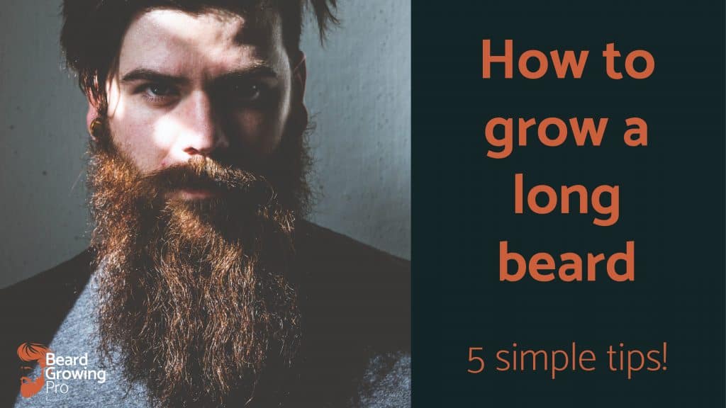 How to grow a long beard