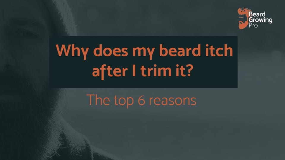 Why does my beard itch after I trim it