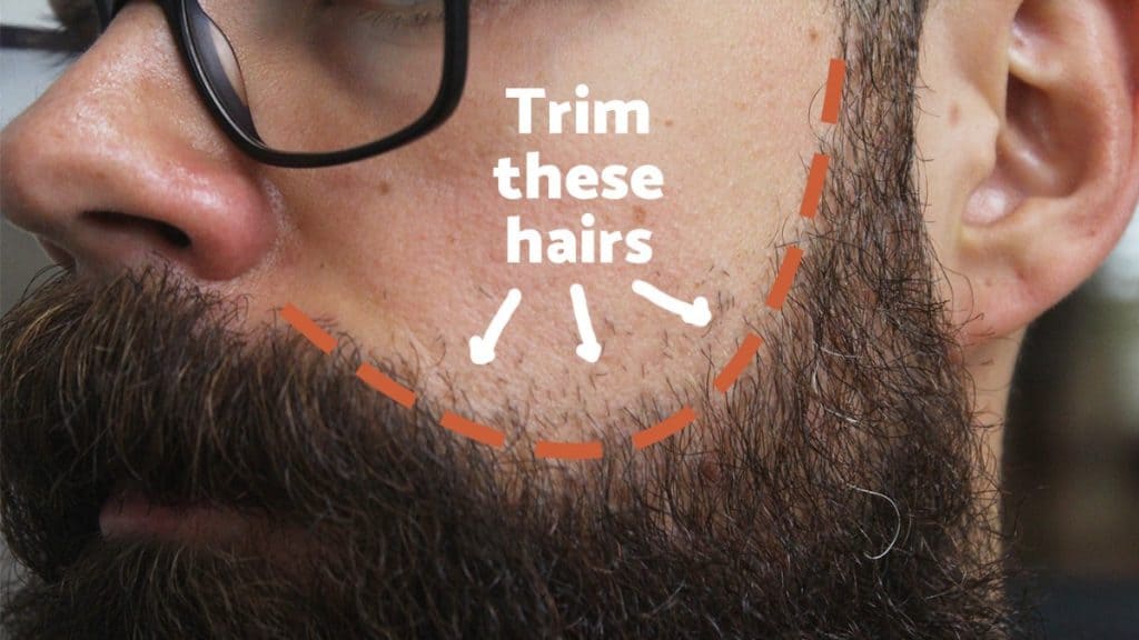 Where to shave when growing a beard
