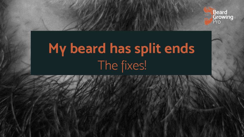 My beard has split ends – the quick, easy fixes!