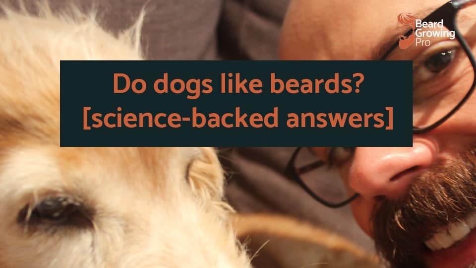 Do dogs like beards