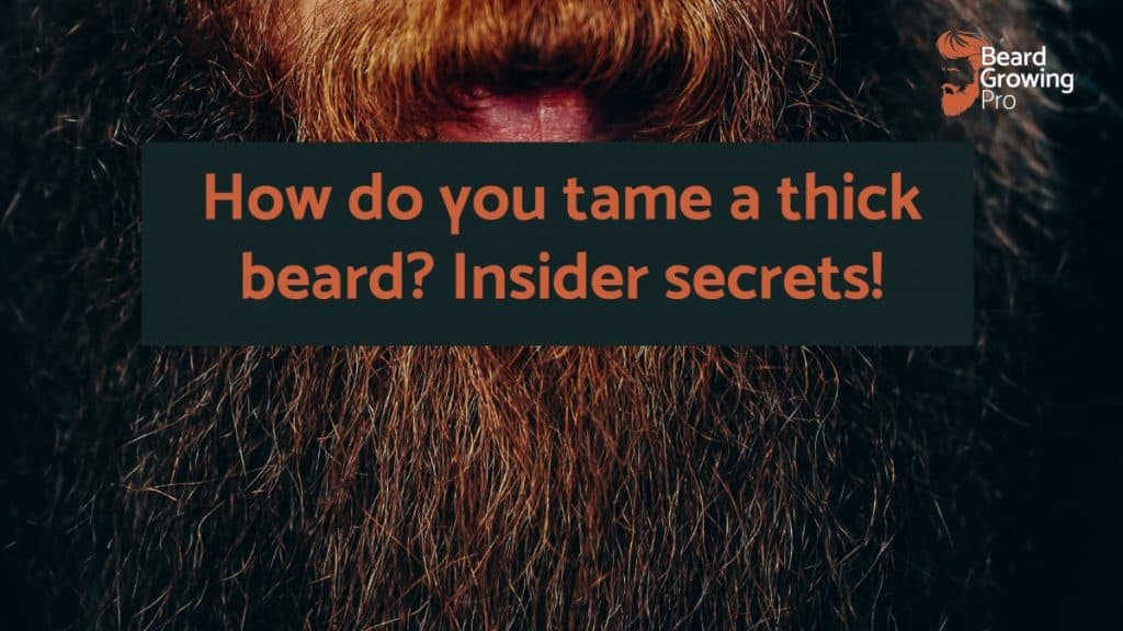 How do you tame a thick beard