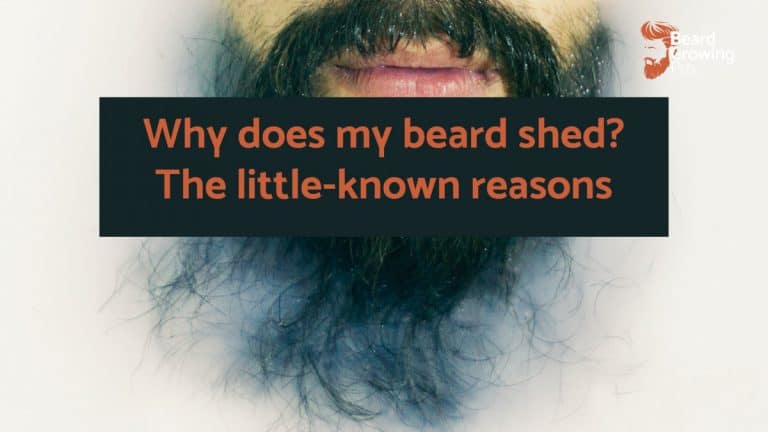 Why does my beard shed?