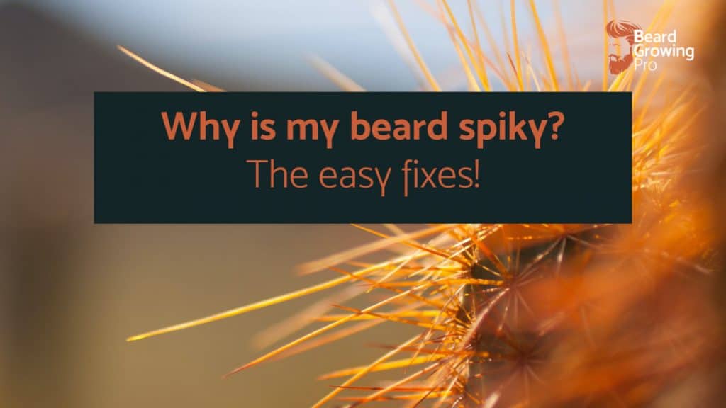 Why is my beard spiky