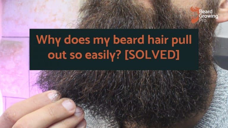 Why does my beard hair pull out so easily? [SOLVED]