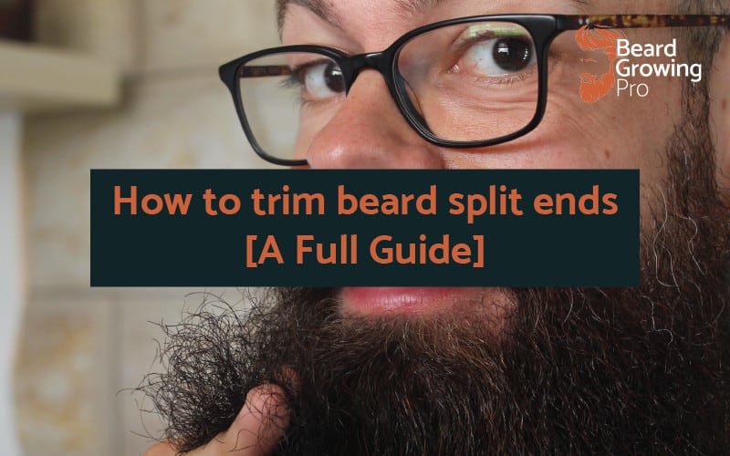 How to trim beard split ends [A Full Guide]