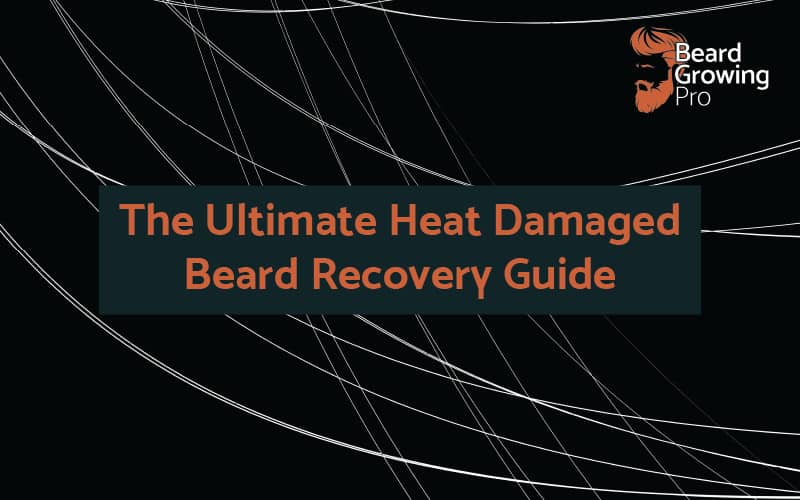 The Ultimate Heat Damaged Beard Recovery Guide - Beard Growing Pro