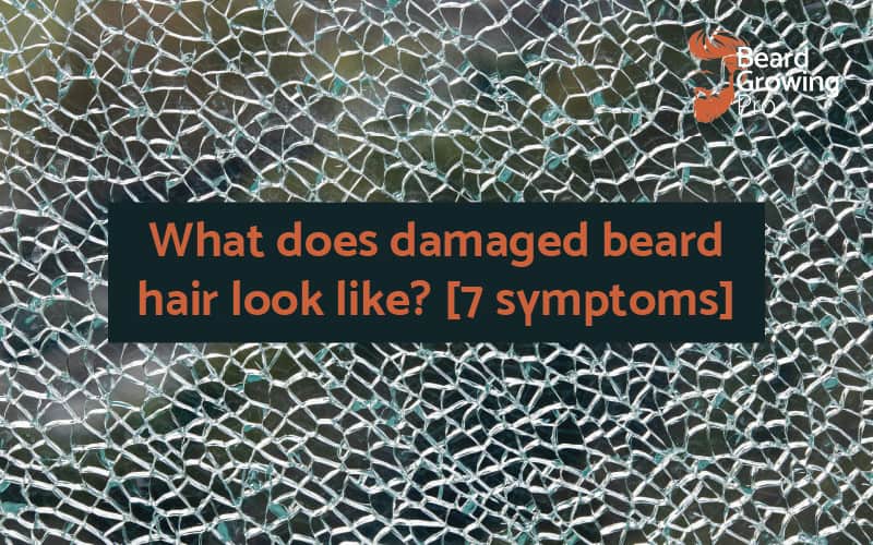 What does damaged beard hair look like? [7 symptoms] - Beard Growing Pro