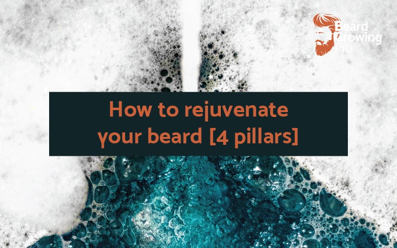 How can I rejuvenate my beard? The 4 Pillars